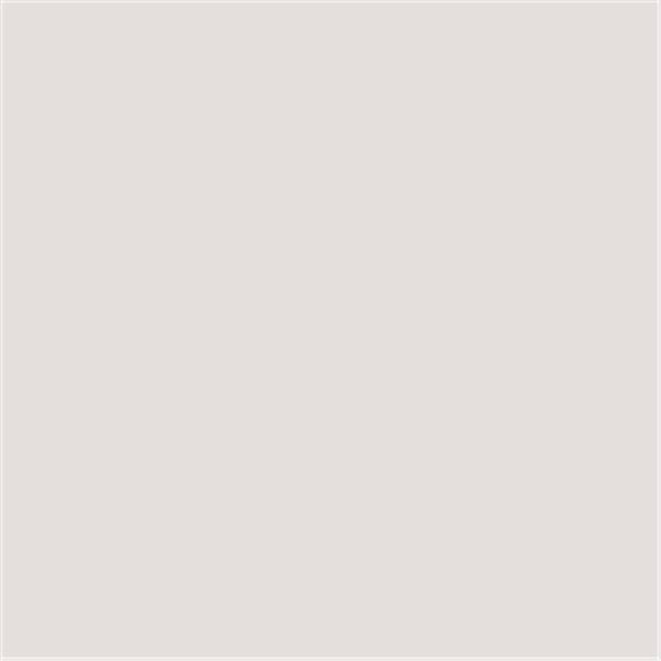 Daphnes Dinnette 9152 Marine Grade Upholstery Vinyl Fabric; Light Grey DA1364341